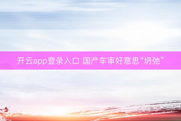 开云app登录入口 国产车审好意思“坍弛”